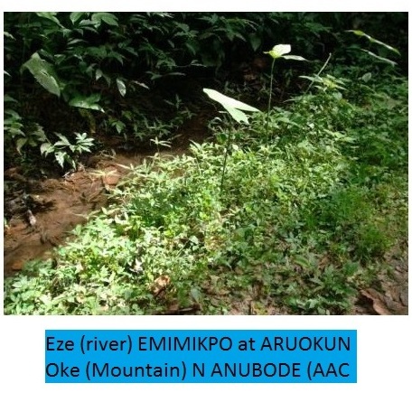 Rivière EMIMIKPO à ARUOKUN Oke (Montagne) n ANUBODE en EDO BENIN ROYAUME (Nigéria)